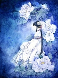 私房医生